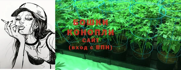 гидра Армянск
