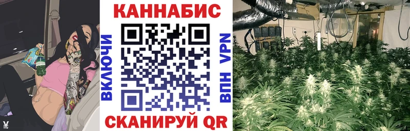 закладки  Мурино  Шишки марихуана индика 